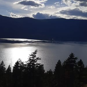 Meet your Posher, Brenda r